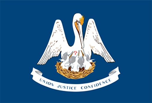 Louisiana flag