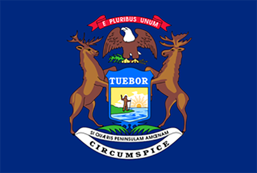 Michigan flag