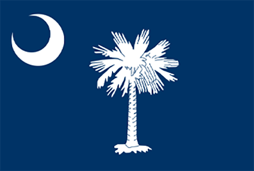 South Carolina flag
